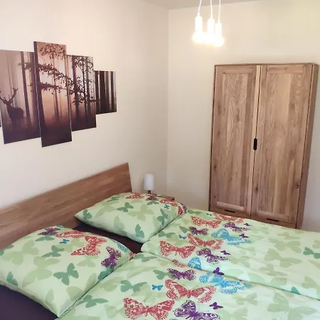 Apartment Ferienwohnung Haus Silberblick *